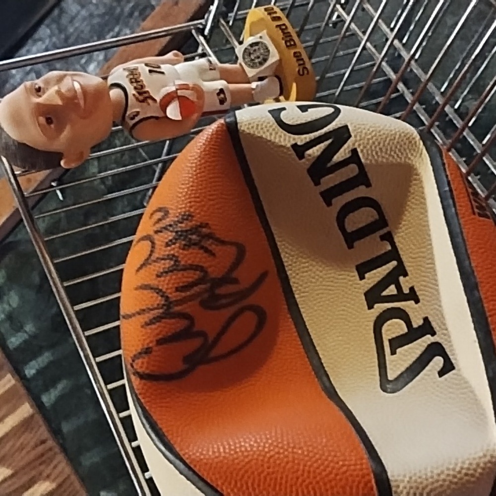 WNBA official basketball signed by Sue Bird